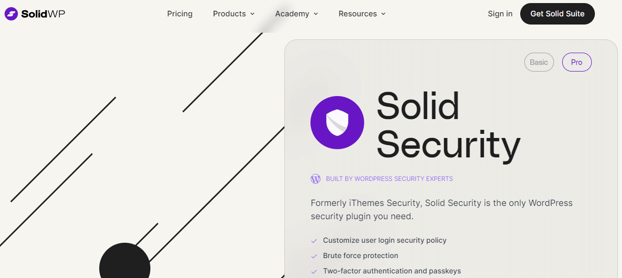 Loginizer security pro