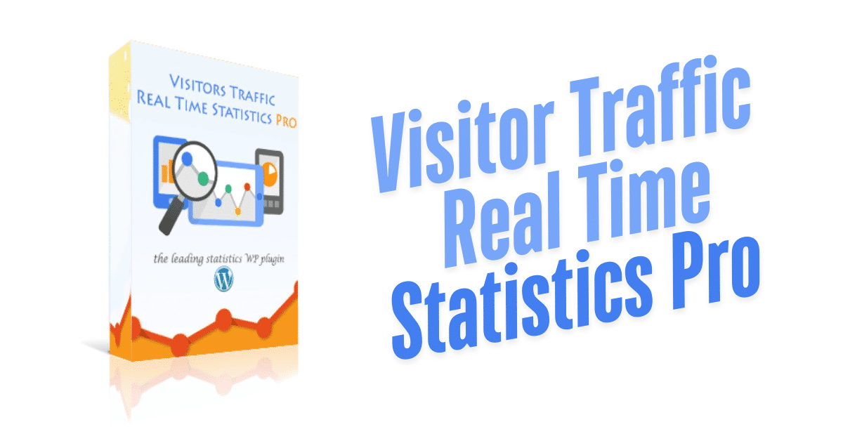 Visitor traffic real time statistics pro